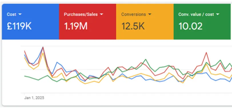 Google Ads Manager Screenshot showing 1002% ROAS